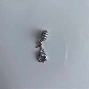 Pandora charm